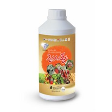 명전바이오 진시황 500ml 수용성규산염+유황 병충해방제 뿌리발달, 1개
