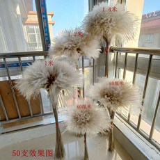 가짜 핑크뮬리 갈대 꽃장식 인조 소품 팜파스 억새 50개 조화 22종, 08.갈대 50개  1.2m, H. 지널 컬러 리드 1.2미터 50개