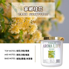 JISHE 固體擴香膏 空氣清新, 1個, 桂花【超商一箱27個】
