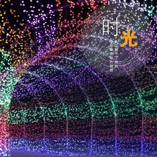 ACB照明 110V LED燈串10米/20米/30米/50米/100米 燈串 含控制器/含公母插頭, 1個, 10米 彩色+八模式控制器+公母插頭, 彩色