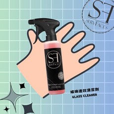 SERVACES 玻璃速效清潔劑 適用於 德國, 1個, 250ml, 250ml