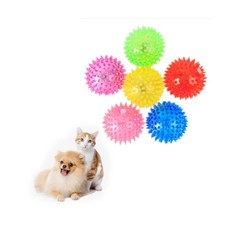 강아지 이빨갈아먹기 Shoo9+3mHW