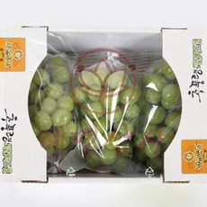 혜명상사 샤인머스켓 2kg 3수 샤인머스캣 탱글탱글 여름과일 과일 씨없는