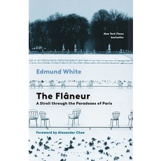 (영문도서)The Flaneur: A Stroll Through the Paradoxes of Paris Paperback, Bloomsbury Publishing, English, 9798260200162