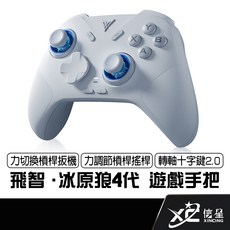 飛智 FLYDIGI 冰原狼4 遊戲手把 無線手把 支援NS/Steam, 1個, 星環灰