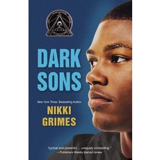(영문도서) Dark Sons Paperback, Blink, English, 9780310761501