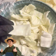 천유작 제주도 썰린 양배추 사각썰기, 1개, 3kg