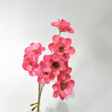 材料王 風鈴花 零售 乾燥花 花材, 亮粉,單枝, 1個