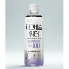 빙그레 마그네슘워터 제로슈거 포도맛 무설탕 무색소 500ML, 12개