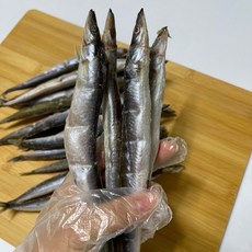 동해 속초 반건조 급냉 양미리 제철 별미 생선 구이 캠핑요리, 1박스, 40마리, 반건조 양미리