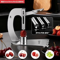 不鏽鋼水果去核器 紅棗山楂冬棗大棗龍眼油柑去核工具 304食品級材質, 1個, 標配去核器/304食品級材質 配一個5m