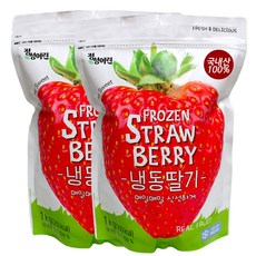 정성어린 국내산 냉동딸기 / 아이스딸기, 2개