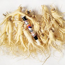 [GAP 인증 인삼] 농부가 직접 드리는 6년근-5년근 못난이 인삼(난발삼) 무료세척 예쁜 정품수삼 파삼 홍삼액달임오쿠 인삼튀김 삼계탕 인삼라떼(믹서) 인삼주, 750g, 1개, 세척안함, 4.잔소난발(750g, 18뿌리내외)