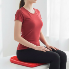 메디컬윤 압력완화 방석 기능성 압력분산 저압력 치질 감압, 레드