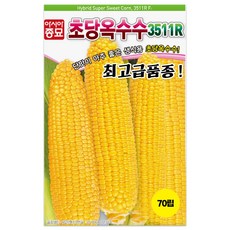 아시아종묘 최고급종 초당옥수수 씨앗 70립 생식용 초당 옥수수씨 종자, 1개