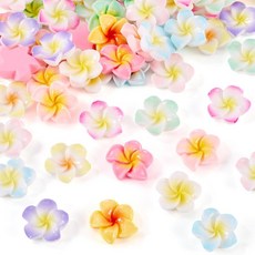 Elecrelive 20Pcs Mini Daisy Flatback Resin Charms Tiny Flower Cabochon Decoden for Scrapbooking Cr, 12가지 스타일