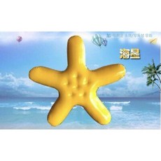 에어 워터 방방이 풍선 물놀이 점핑 트램폴린, 1. 불가사리 플러스 (만14세이상)