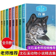 促銷 沈石溪動物小説全集正版全套8本 沈石溪的書全係列 國小生三四五 番茄書屋, 如圖