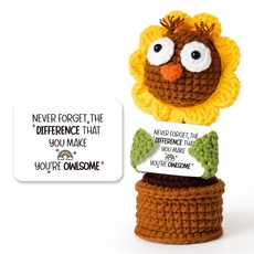 여성용 감사 선물 - 정서적 지원 크로셰 올빼미 꽃 - Never Forget The Differference You Make Make Make - 동료 보스 친구 엄마 선