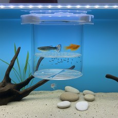 원형 물고기 부화통 분리통 부화통 열대어 수족관 어항 산란 치어 격리 보호 분리, 1개