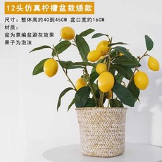 레몬나무 가지 조화분 트리 귤 장식용 인공, 1개, 12개 레몬 분재 낮은 화분 40-45cm