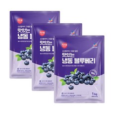 CJ프레시웨이 이츠웰 냉동블루베리1Kg x 3개, 1kg