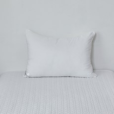 모던하우스 베게솜 알러지케어 푹신한 복원력 호텔같은 편한 베게 일반형, 2개, 화이트