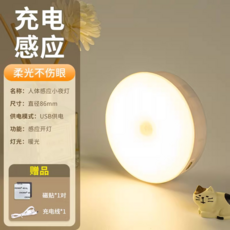 人體感應小夜燈 夜間自動感應 走廊過道廁所適用 USB充電 2入裝, 【1只體驗裝】暖光感應亮燈（送充電線+磁鐵）