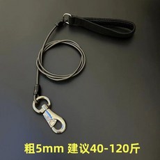 耐磨耐咬 狗狗牽引繩 加長防爆衝 遛狗繩, 1個, 牽引 黑色 粗5mm 40-120斤 ,長5米