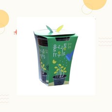 교육용 수경형 관찰용 컵타입 화분 새싹키우기세트 콩나물키우기, 1개