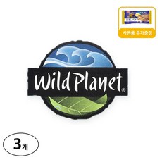 와일드플래닛 자연산 화이트 앤초비 엑스트라버진 올리브오일 절임 사은품 추가증정, 125g, 3개