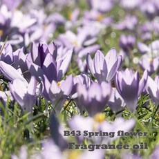 프래그런스 오일 B43 스프링플라워 디퓨저 향수 싱그러운꽃향, 1개