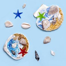 (주)아트인 조개 냉장고자석 만들기(10인용)
