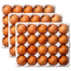 HACCP 난각번호 1번 자연방사 유정란, 1개, 60구