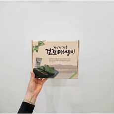 청정바다 정남진장흥 동결건조 건매생이 2.5g 10블럭 20블럭, 20개