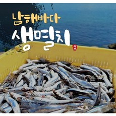 산지직송 남해바다 생멸치 500g
