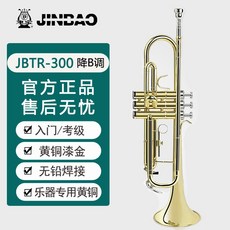 연습용 트럼펫 악기 B플랫레드 초보자 연주 플라스틱 취미 B플랫, 진보JBTR300황동페인트골드, 1개