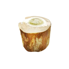 甲蟲果凍台 單孔/雙孔 附果凍 鍬形蟲 獨角仙 昆蟲餵食盒, 1個, 20-A-071甲蟲 果凍台-單孔