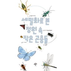 세밀화로 본 정원 속 작은 곤충들, 돌배나무, 프랑수아 라세르
