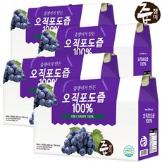 즙쟁이 포도즙 4박스 120포, 2100ml, 4개