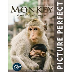 (영문도서)Monkey: Picture Perfect Paperback, Independently Published, English, 9798290033280
