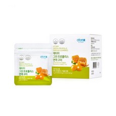 애터미 그린 프로폴리스 면역 구미 1g x 10개 x 12포 (120g)