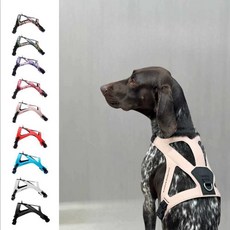 강아지 애완동물 경량 부드러운 하네스 산책 멍멍이, 1개, 상세 페이지 참고