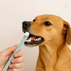 가을다미추천 반려동물칫솔 애견칫솔