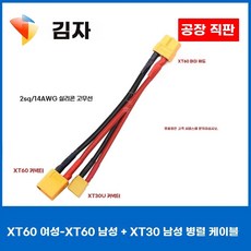 전동킥보드 XT60 연결 변환잭, 1개