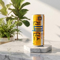 컨피던스 250ml 30캔, 30개