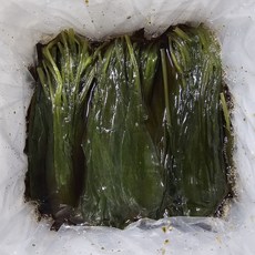 솜씨담 업소용 프리미엄 명이나물10kg, 10kg, 1개