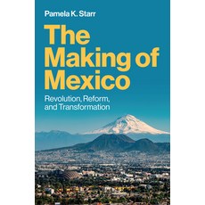 (영문도서)The Making of Mexico: Revolution Reform and Transformation Paperback, Polity Press, English, 9781509564262