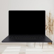 에이수스 2024 프로아트 P16 라이젠9 라이젠 AI 300시리즈 지포스 RTX 4060, 나노 블랙, H7606WV-ME087X, 1TB, 32GB, WIN11 Pro