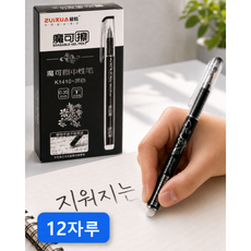 데이라이크 지워지는 볼펜 0.35mm 12개입, 1세트, 검정